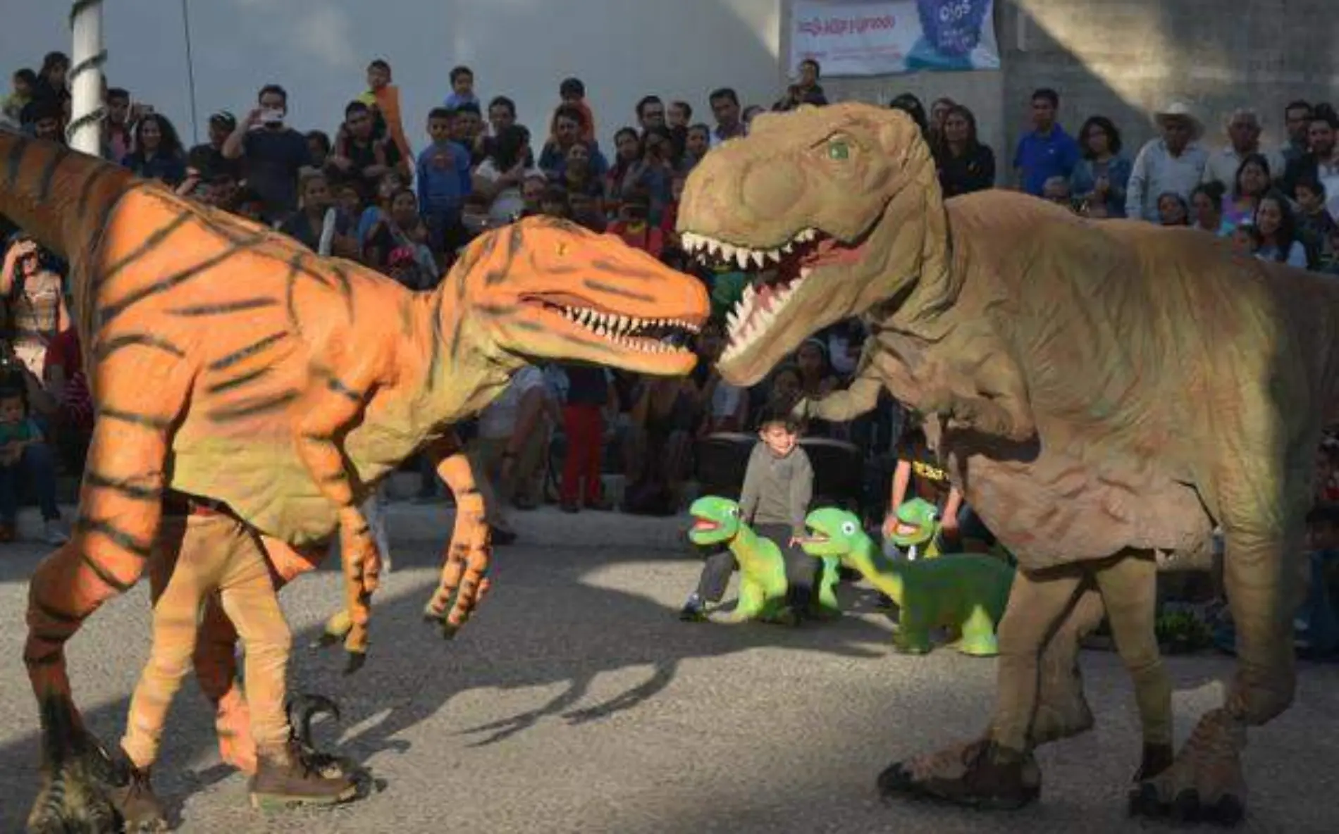 Velociraptor y Tiranosaurio Rex, tuvieron un enfrentamiento- Maritza Cuevas